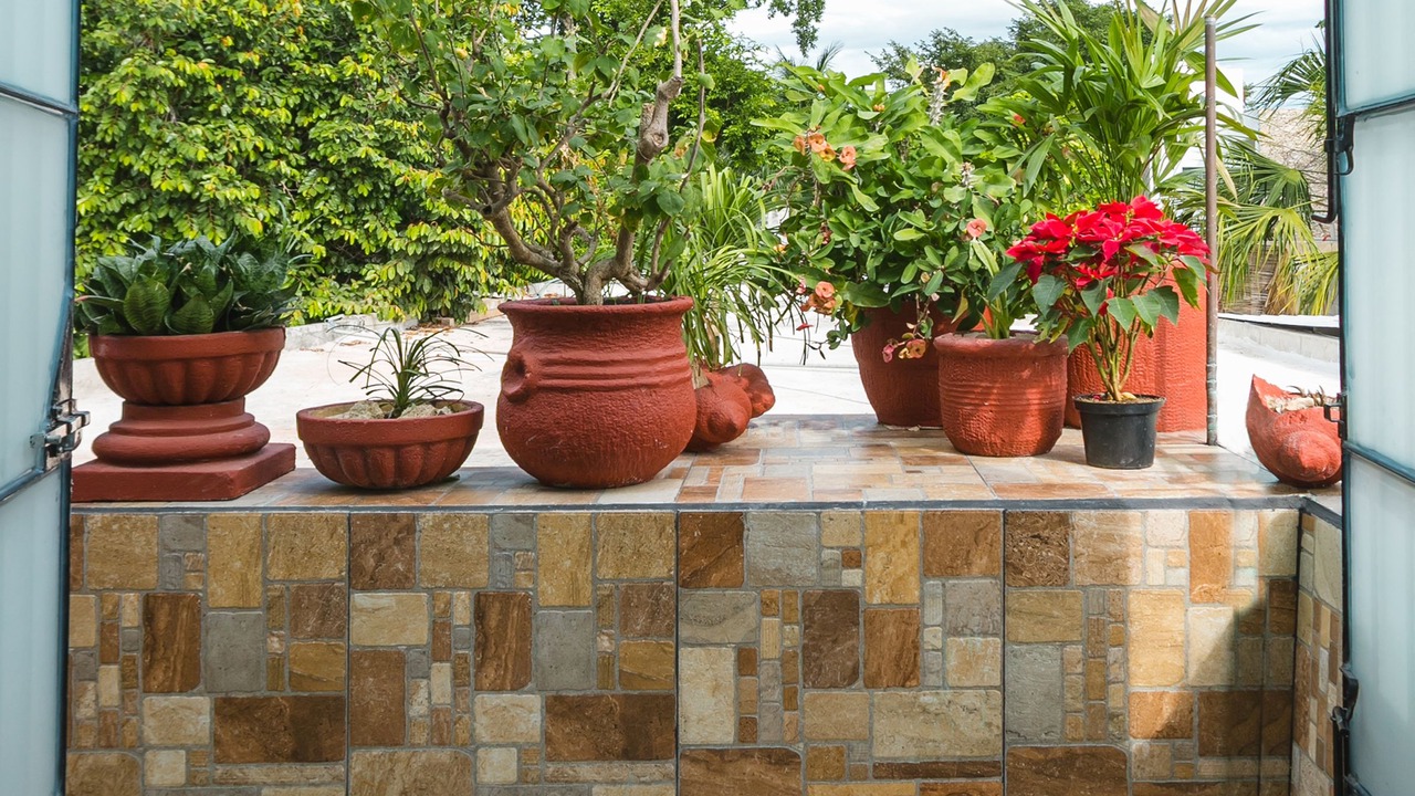 Photo of Patio Balcony in Centro