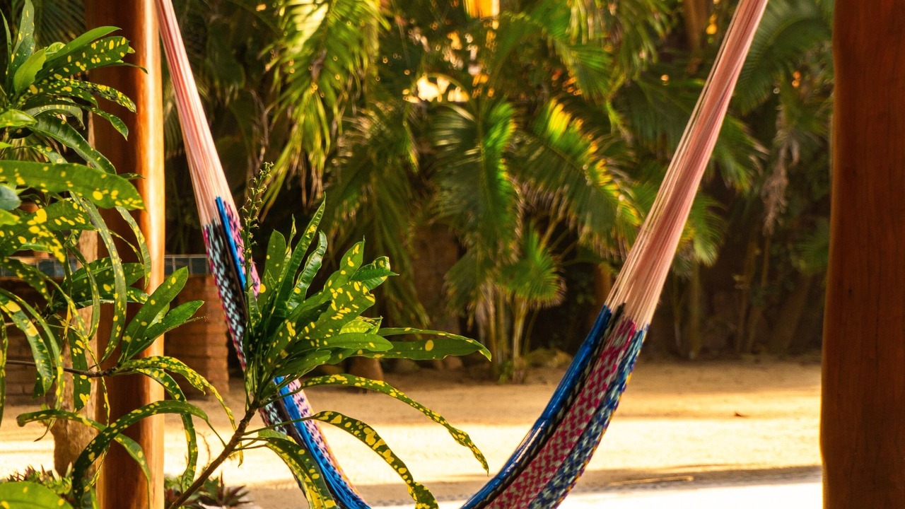 Photo of Others in Troncones