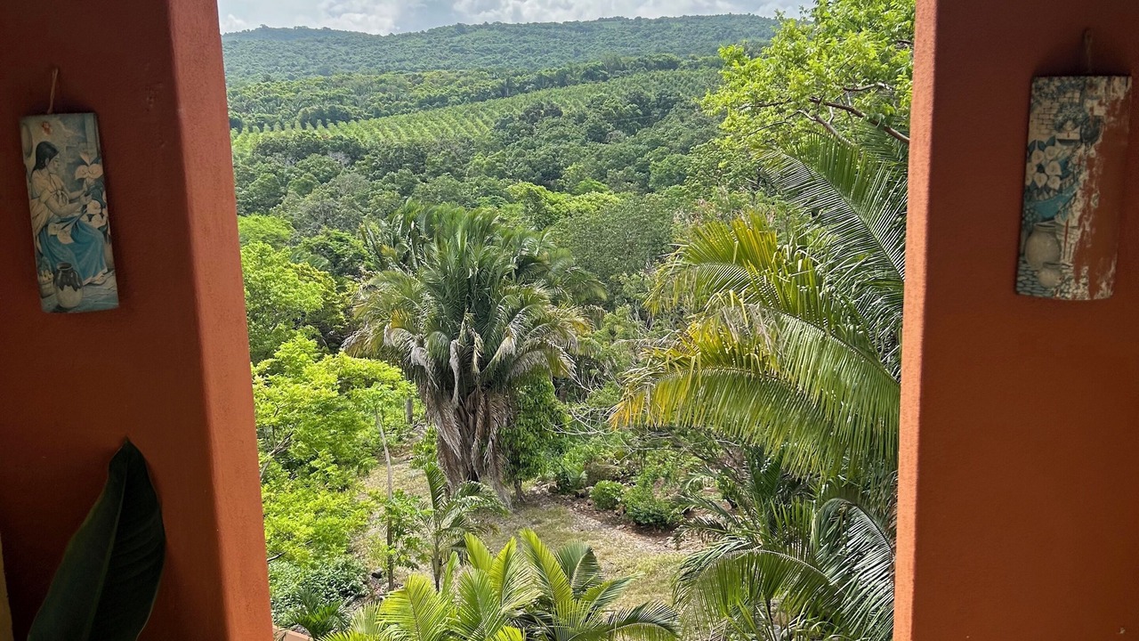 Photo of Others in Chacala