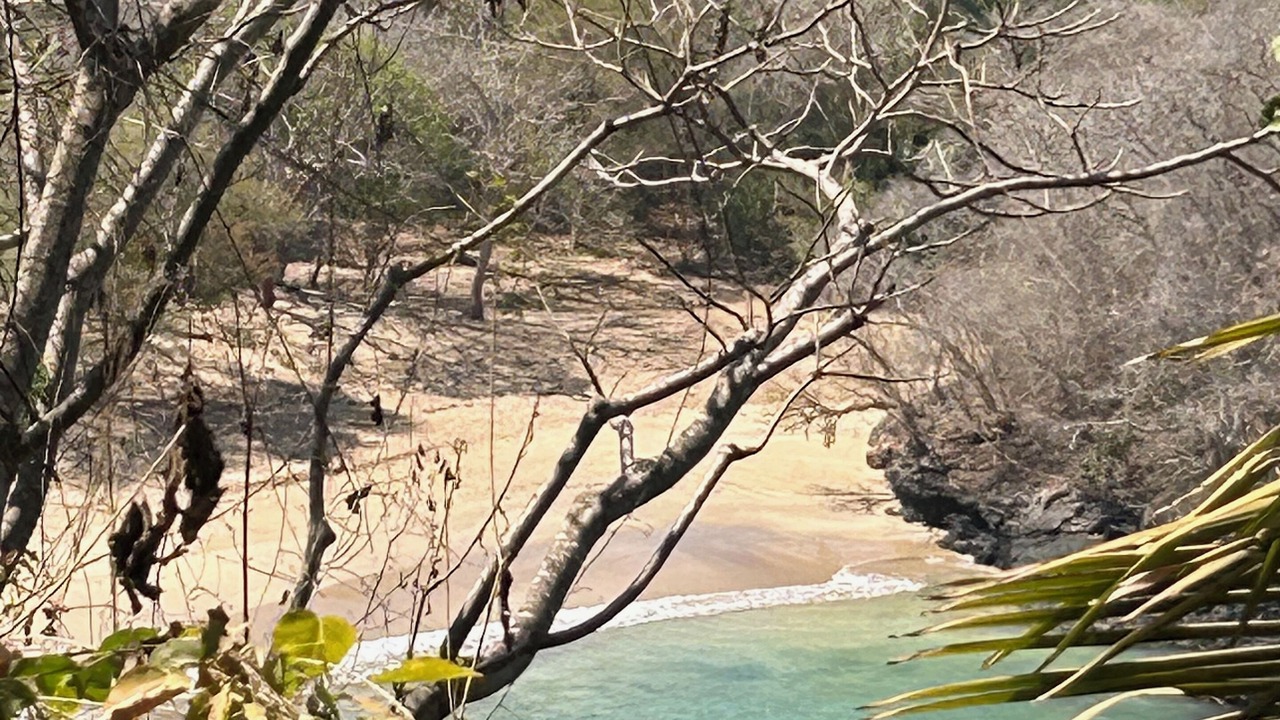 Photo of Others in Chacala
