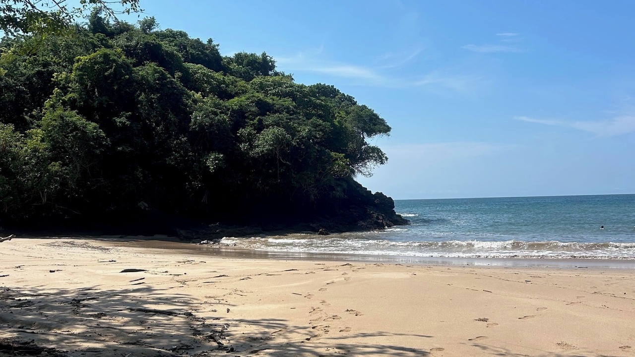Photo of Others in Chacala