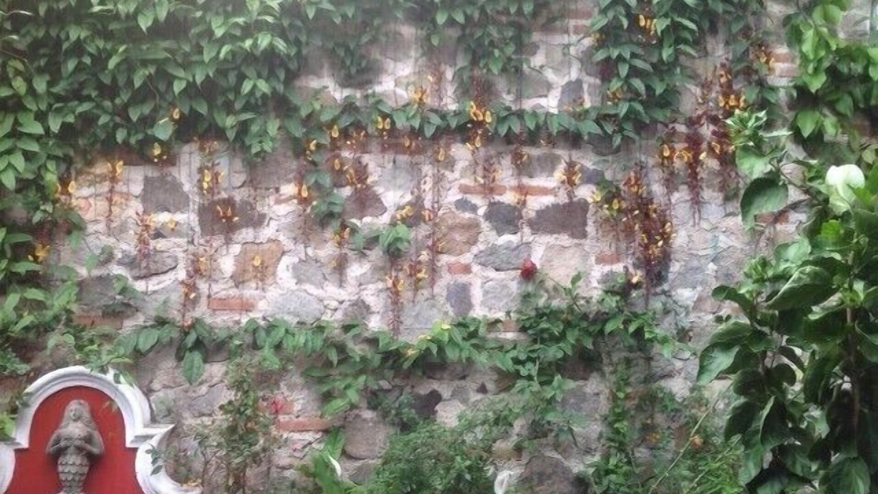 Photo of Outdoor in Antigua Guatemala