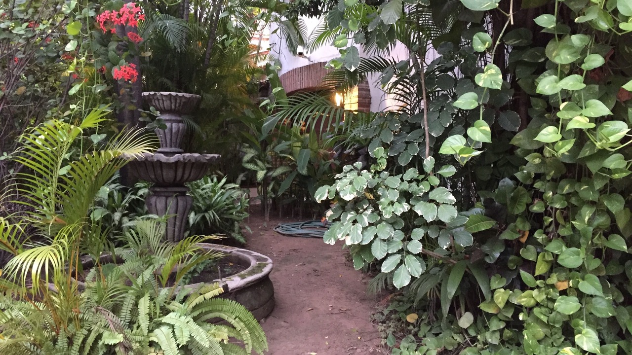 Photo of Outdoor in South Shore Hotel Area