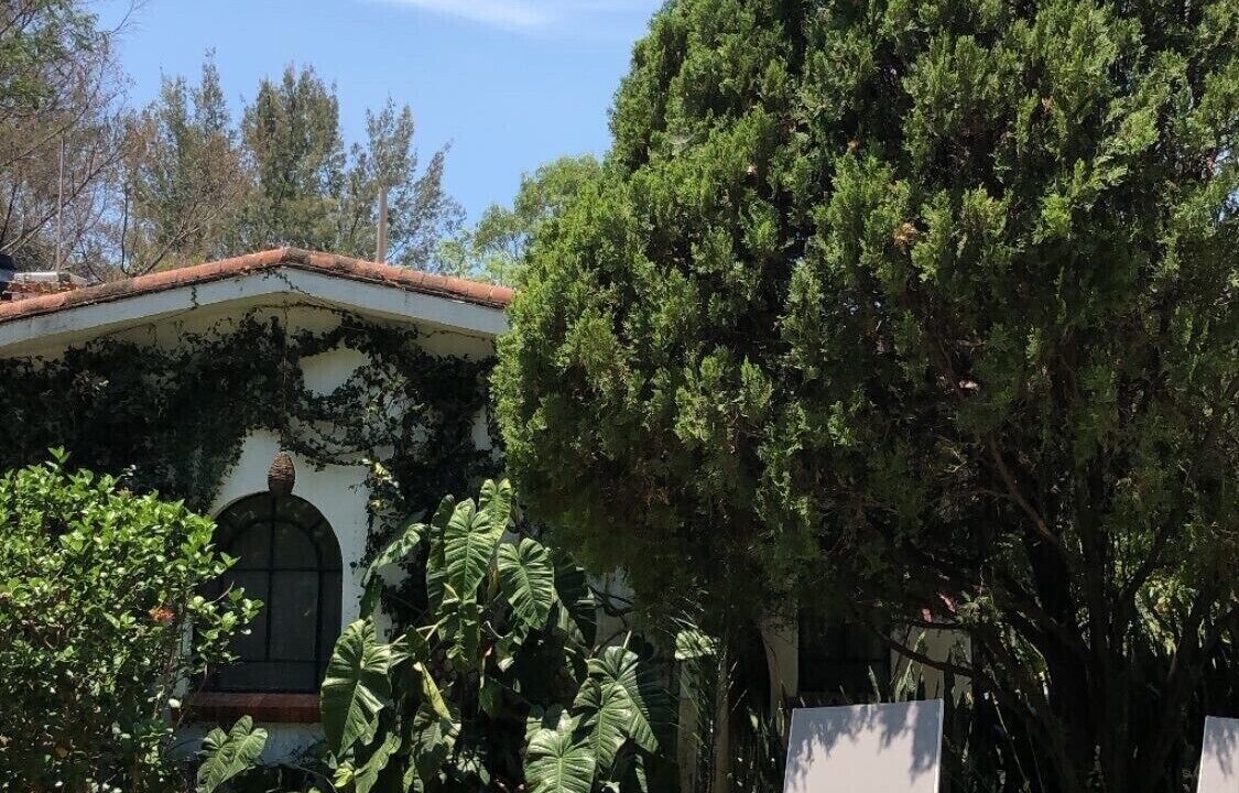 Photo of Others in Cuernavaca