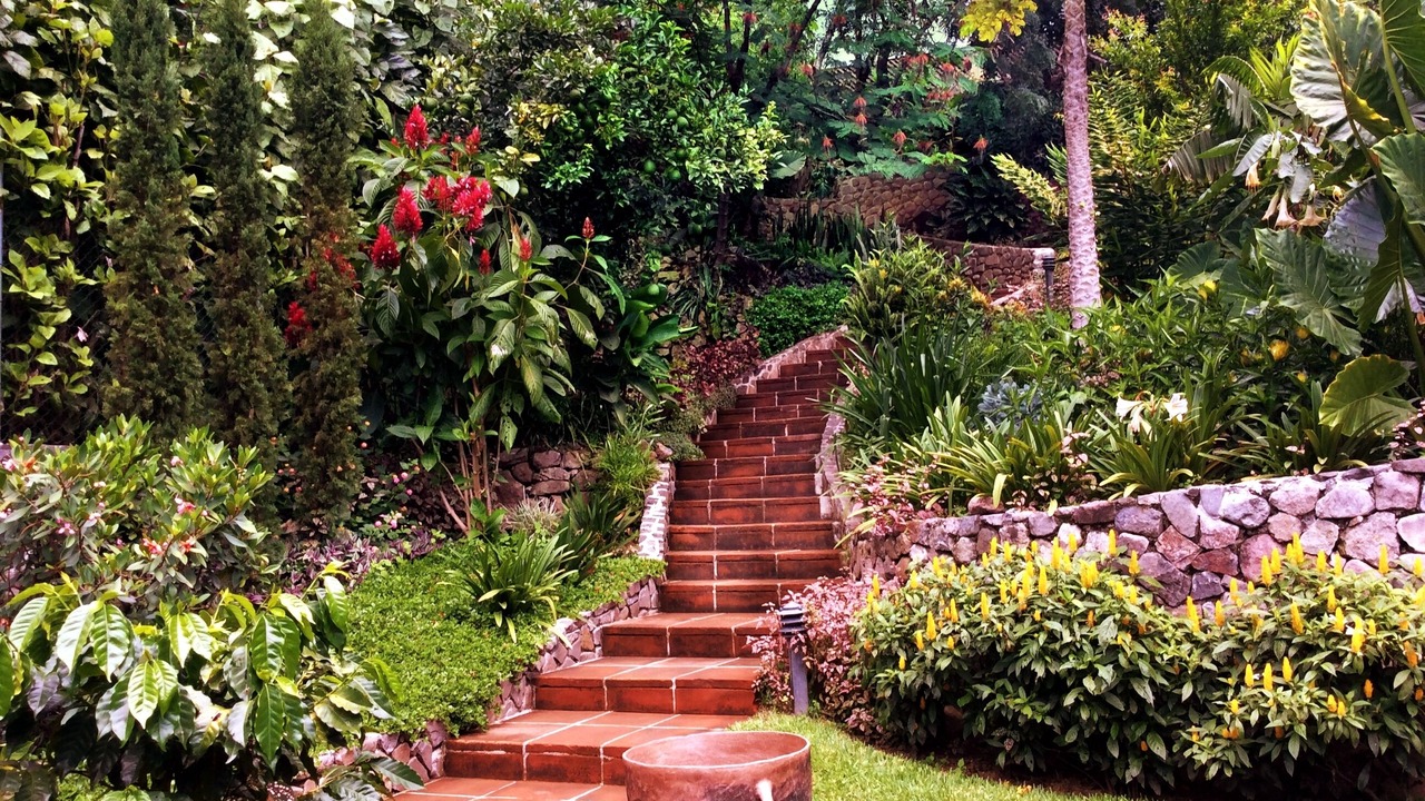 Photo of Outdoor in San Marcos La Laguna