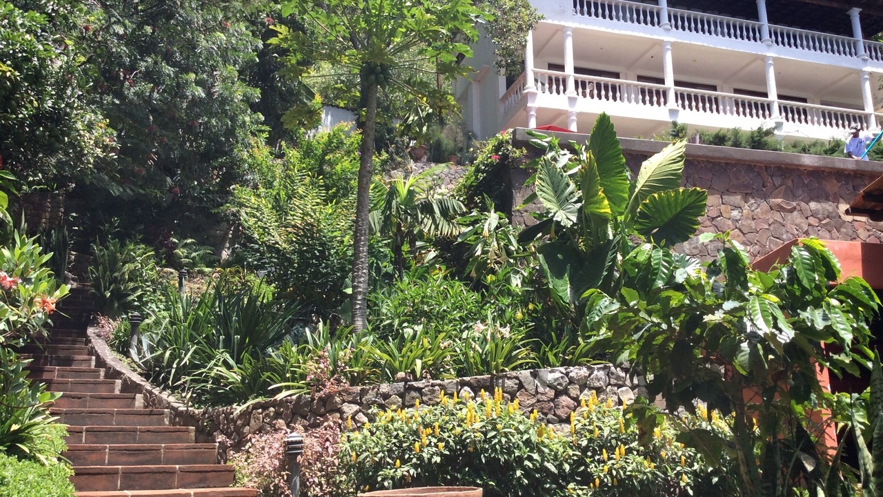 Photo of Others in San Marcos La Laguna