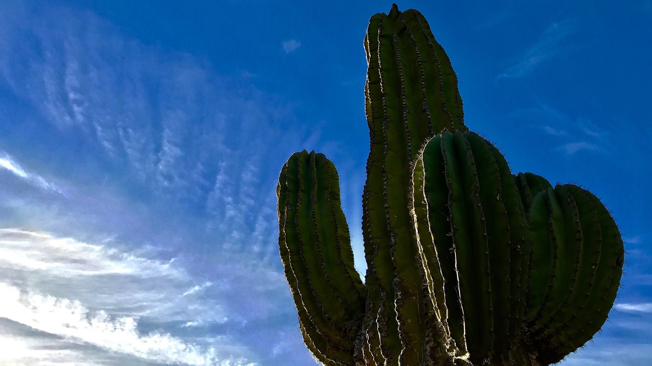 Photo of Outdoor in Esterito