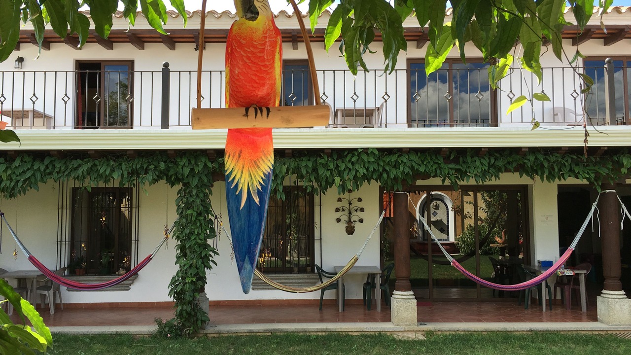 Photo of Outdoor in Antigua Guatemala