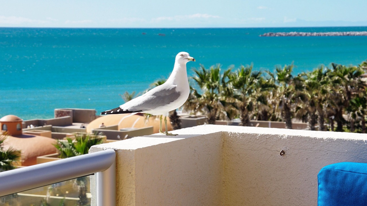 Photo of Others in Sandy Beach