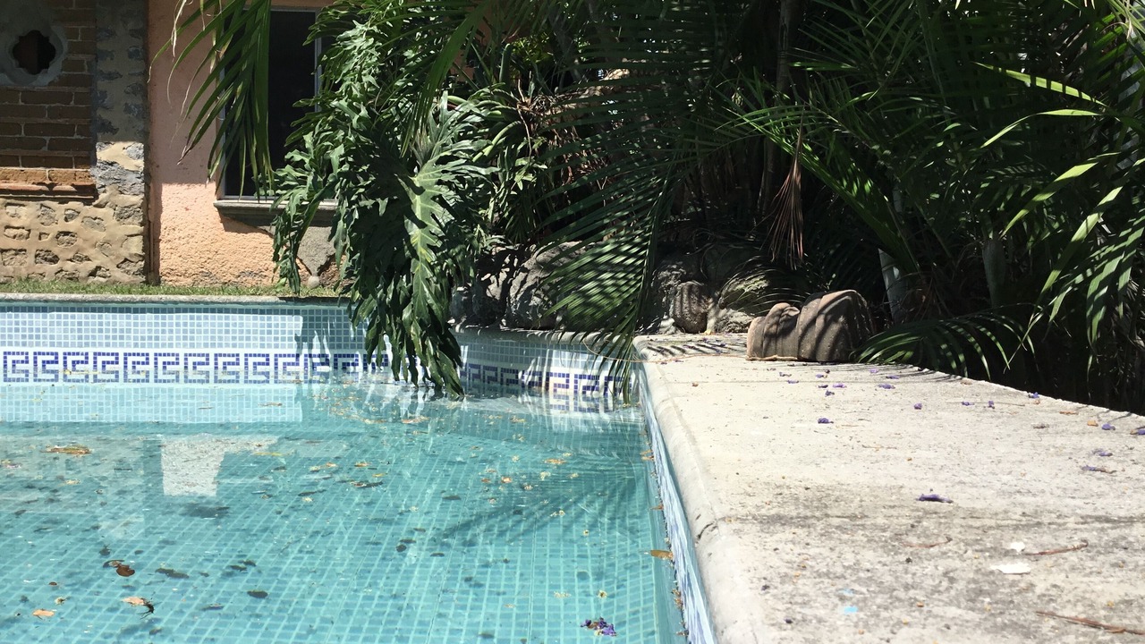 Photo of Outdoor in Acapantzingo
