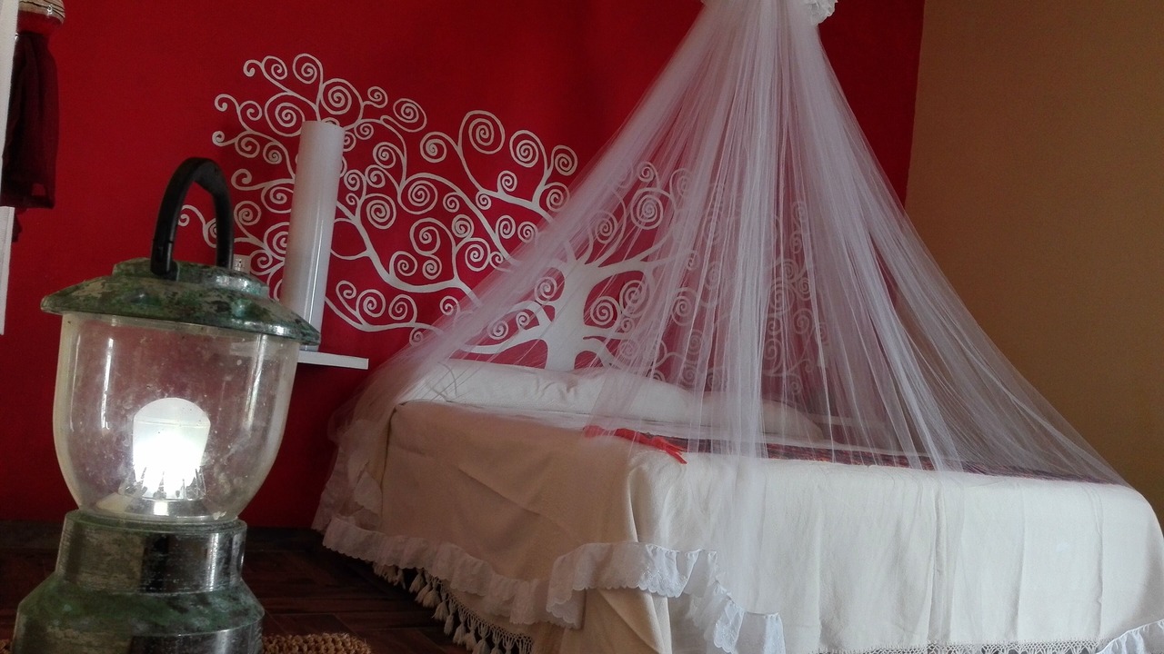 Photo of Bedroom in Mayto