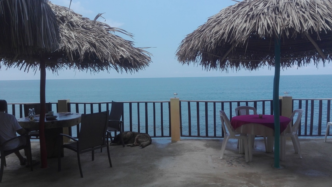 Photo of Outdoor in Mayto