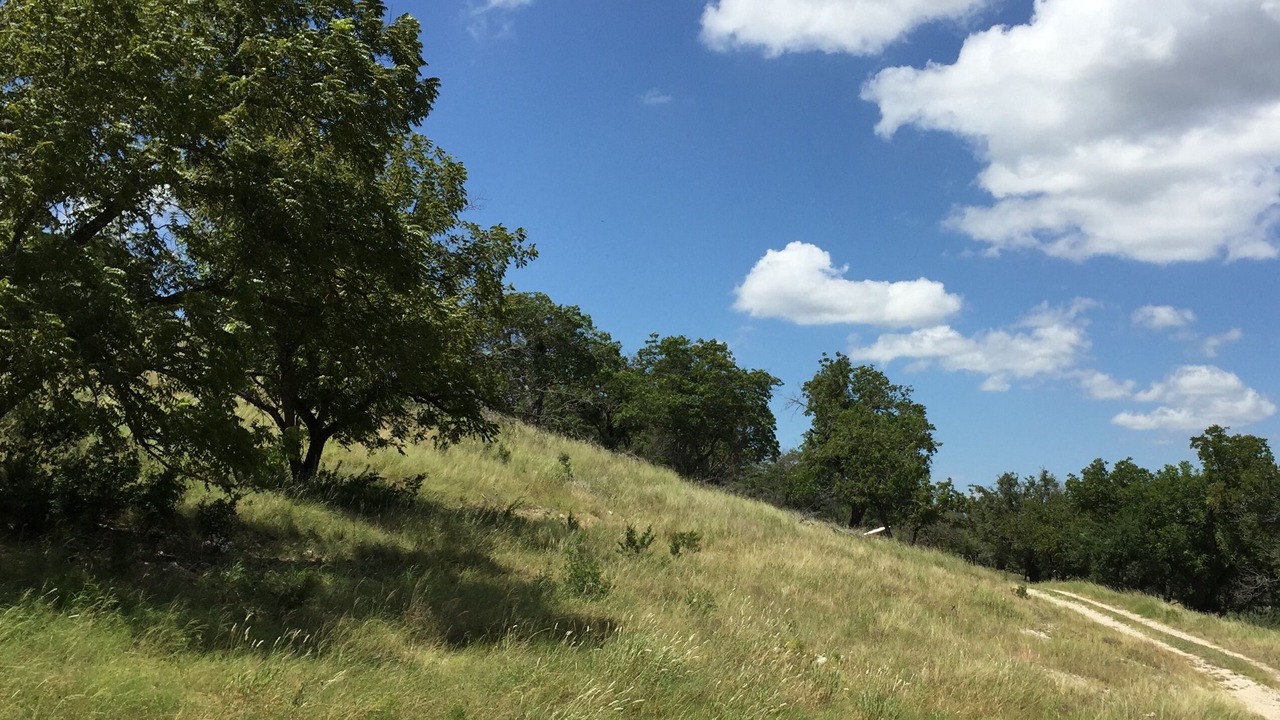 Photo of Outdoor in Ingram