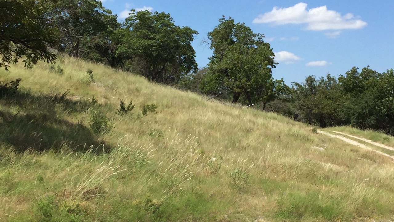 Photo of Outdoor in Ingram