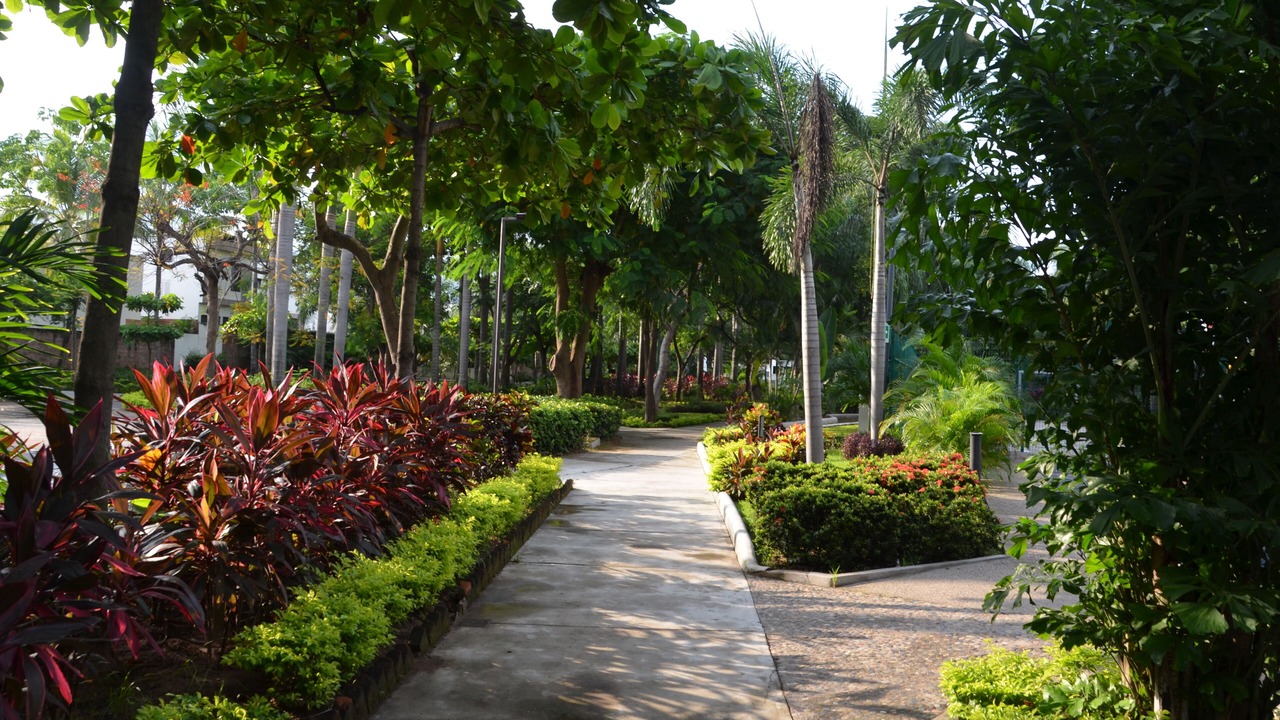 Photo of Outdoor in Jardines del Puerto