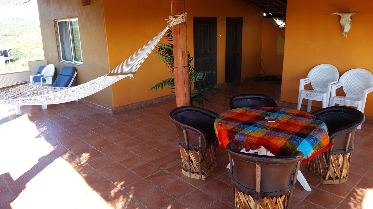 Photo of Others in Cabo Pulmo