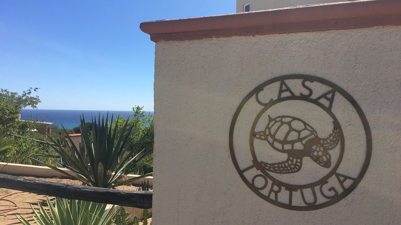 Photo of Others in Cabo Pulmo