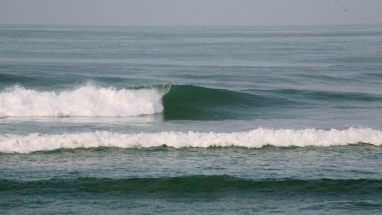 Photo of Others in Saladita