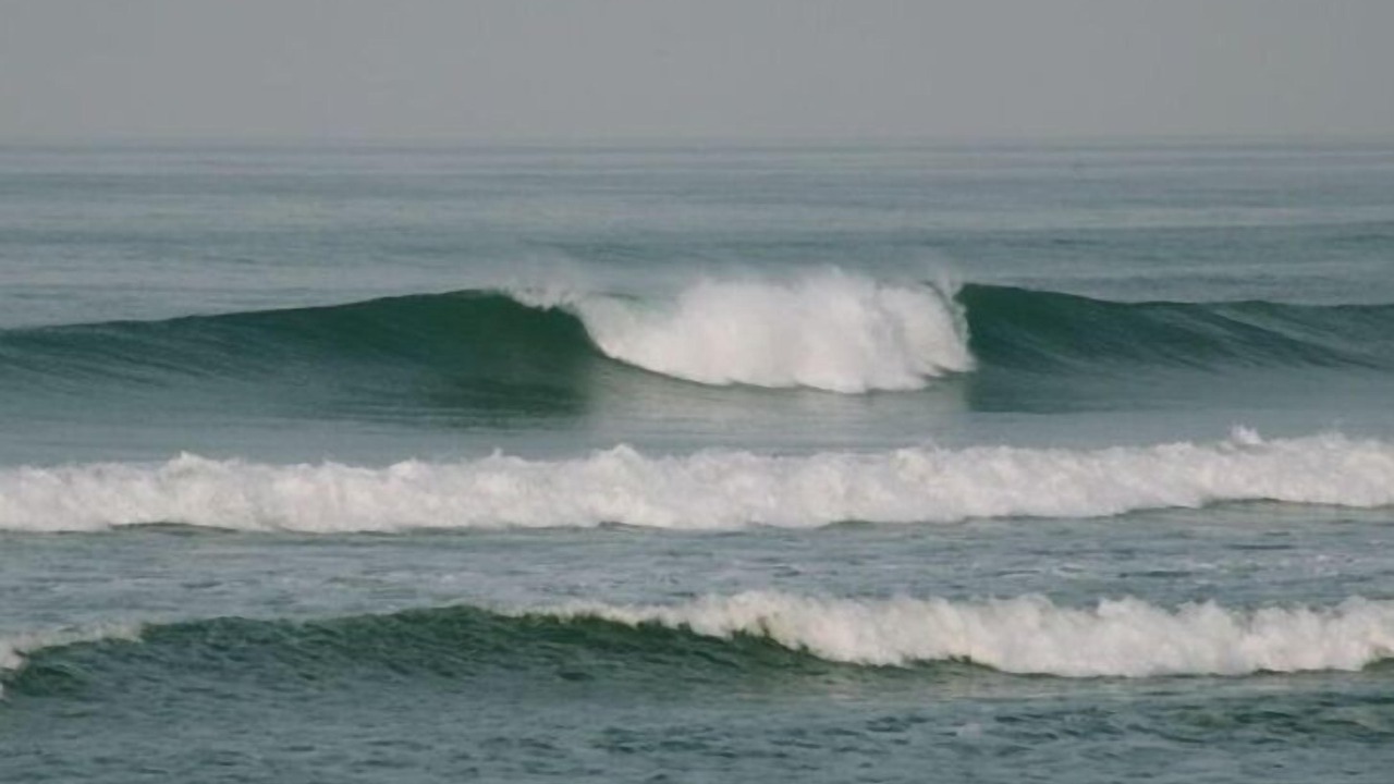 Photo of Others in Saladita
