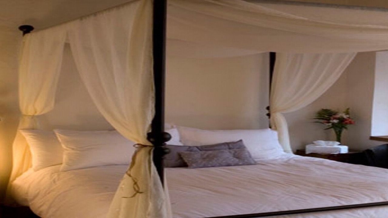 Photo of Bedroom in Downtown Queretaro