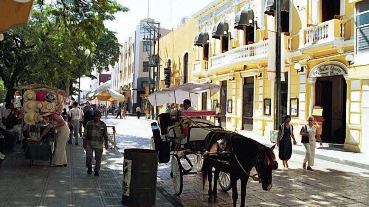 Photo of Others in Centro