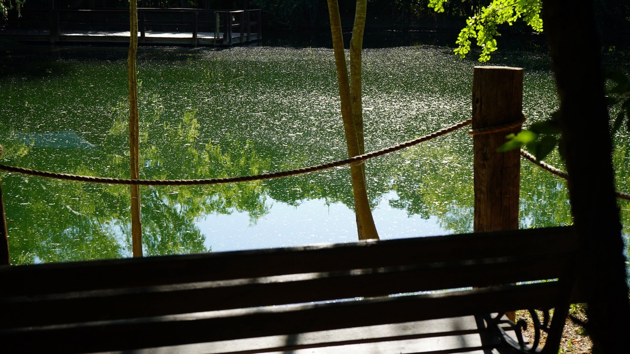 Photo of Outdoor in San Antonio