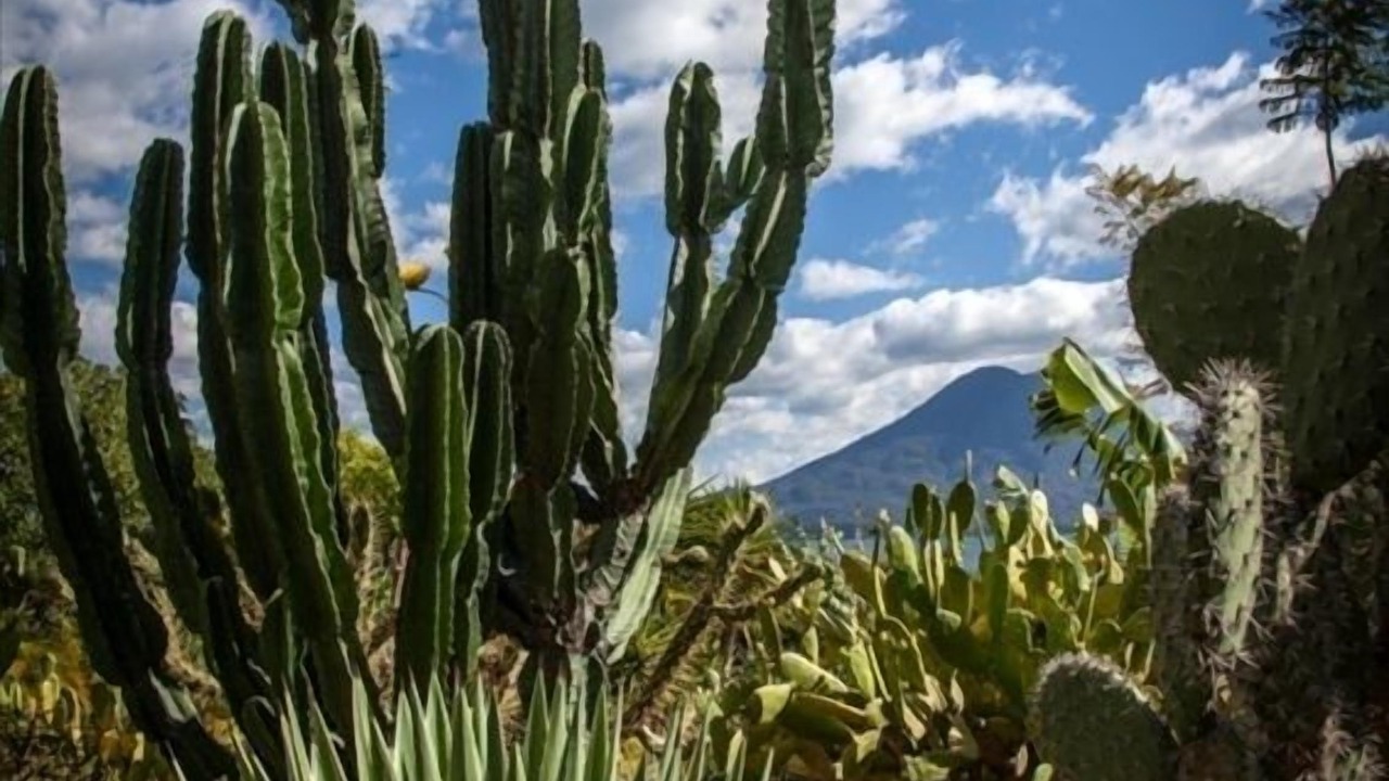 Photo of Outdoor in Santa Cruz La Laguna