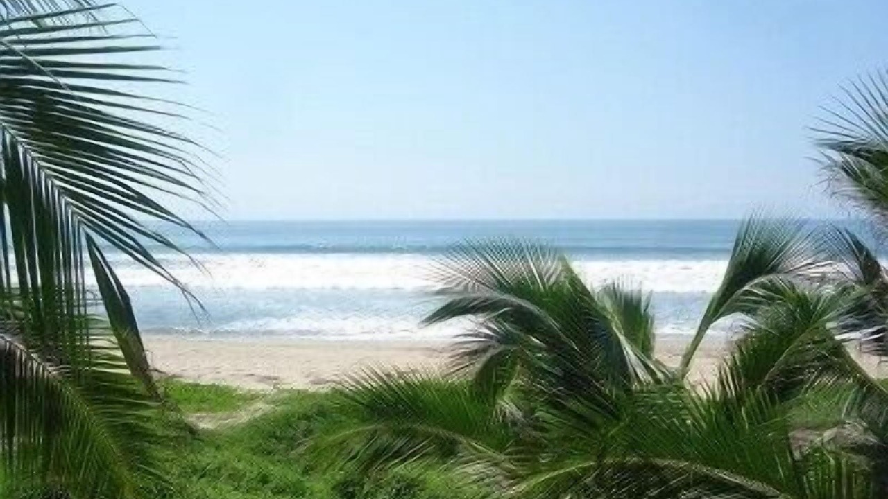 Photo of Others in Troncones