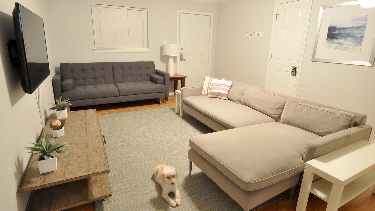 Photo of Livingroom in South Lamar