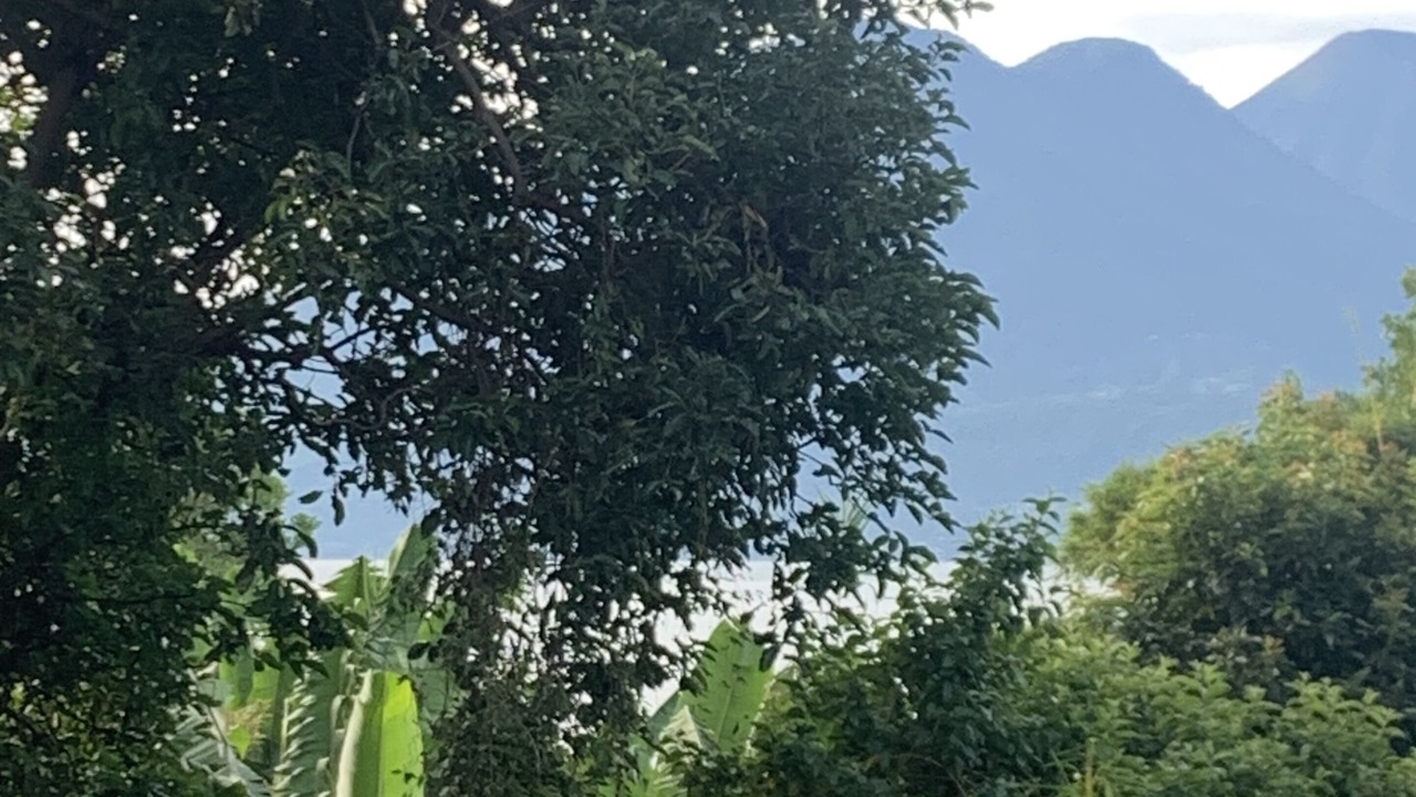 Photo of Others in Tzununa