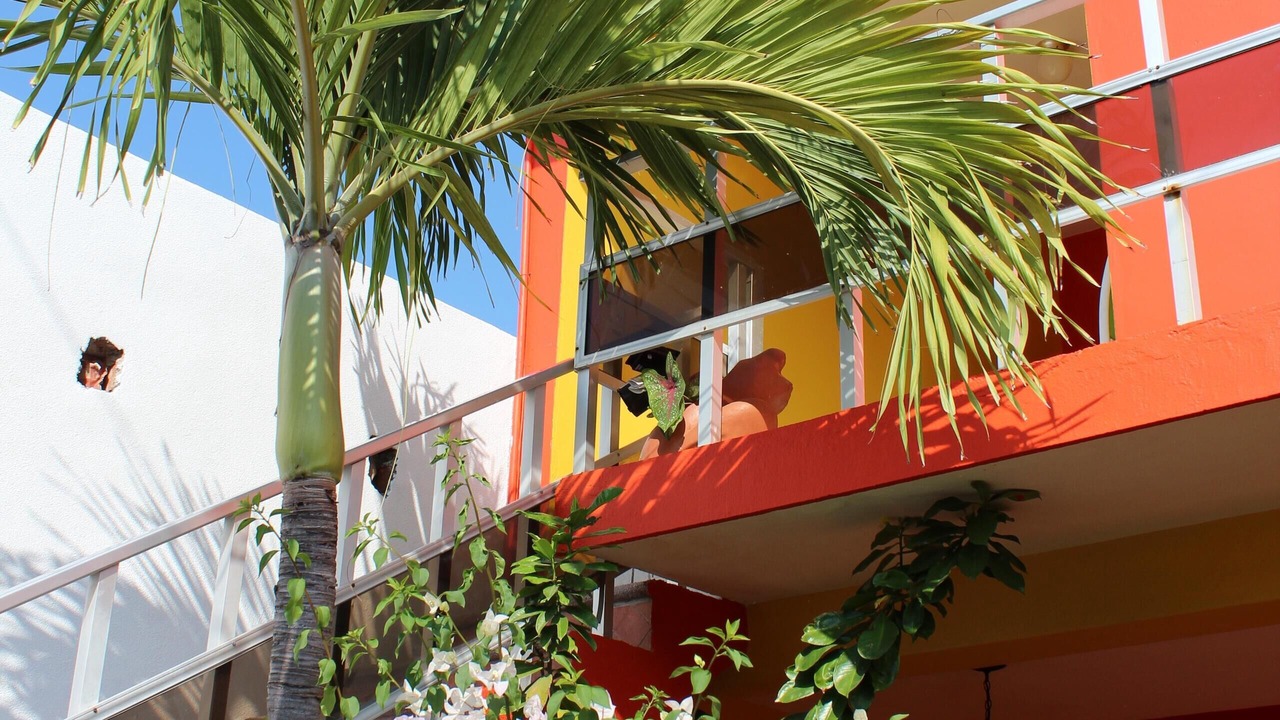 Photo of Outdoor in Barra de Navidad