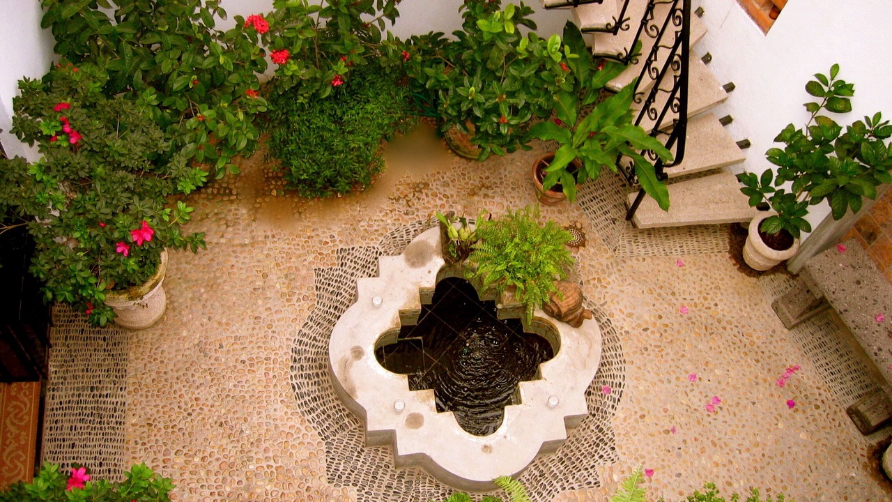 Photo of Outdoor in Downtown Puerto Vallarta