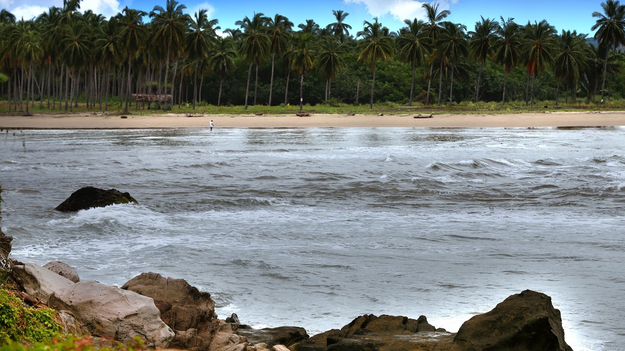 Photo of Others in Platanitos