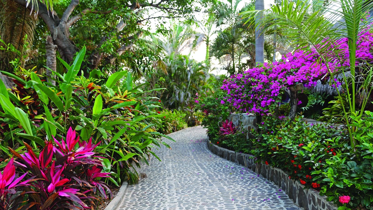 Photo of Outdoor in Platanitos