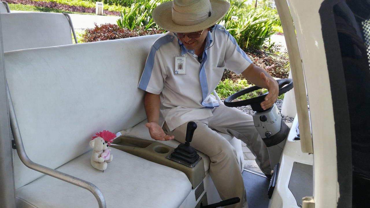 Photo of Others in Nuevo Vallarta