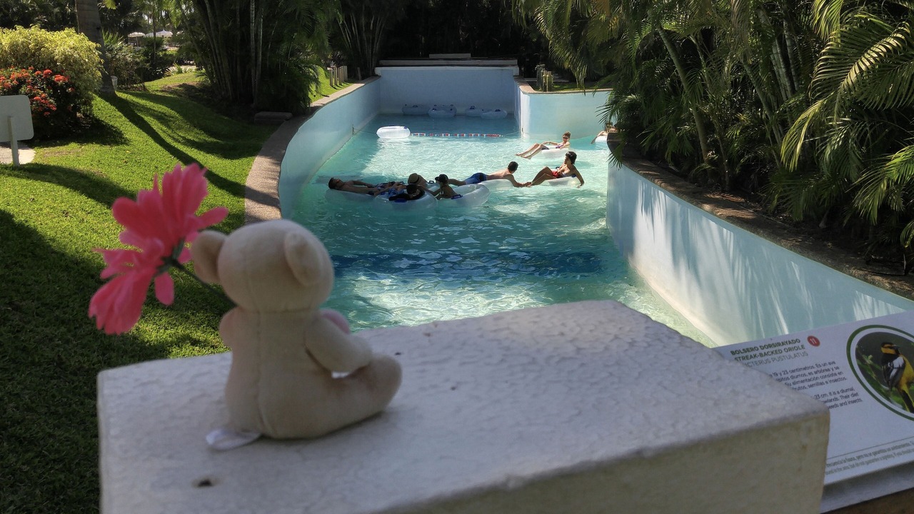 Photo of Others in Nuevo Vallarta