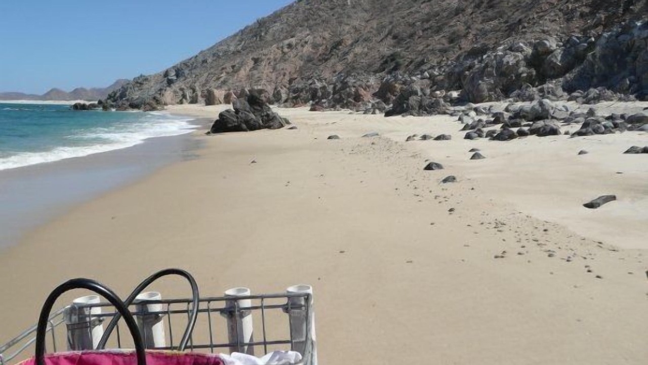 Photo of Others in Buenavista