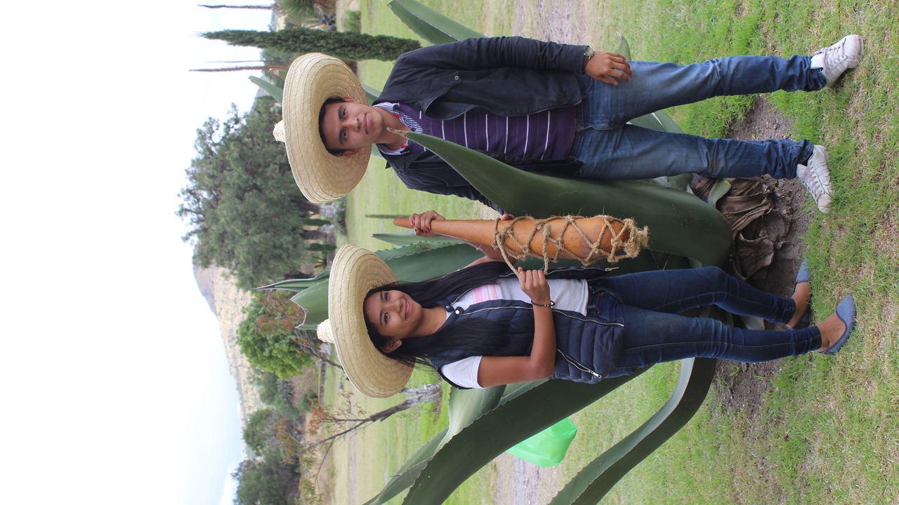 Photo of Outdoor in San Martin de las Piramides