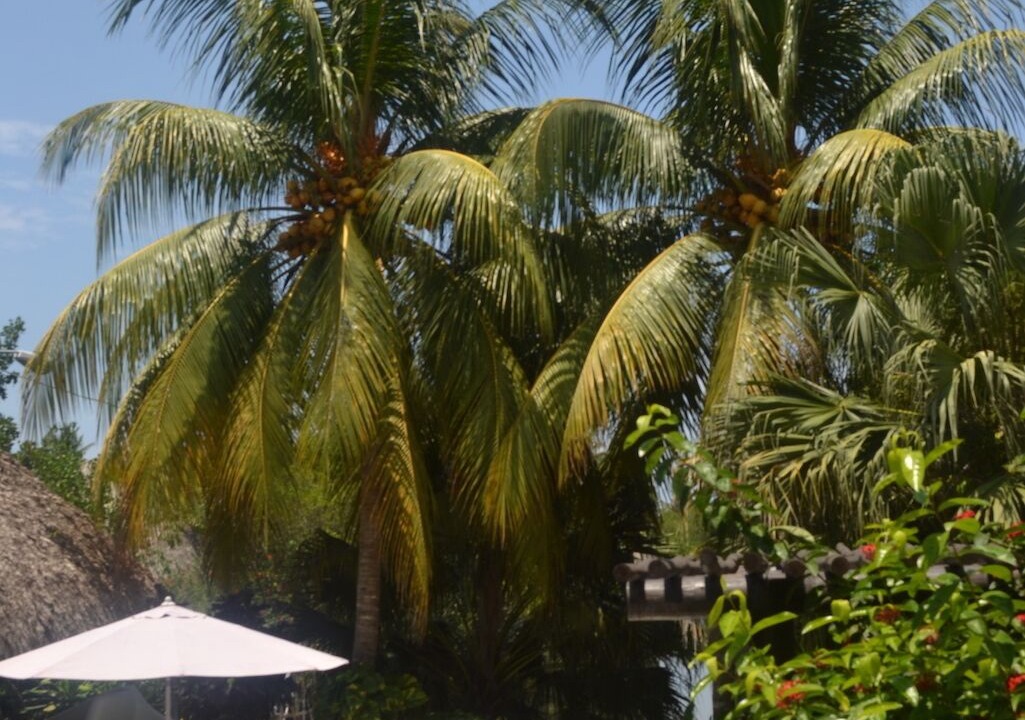 Photo of Outdoor in Puerto Quetzal