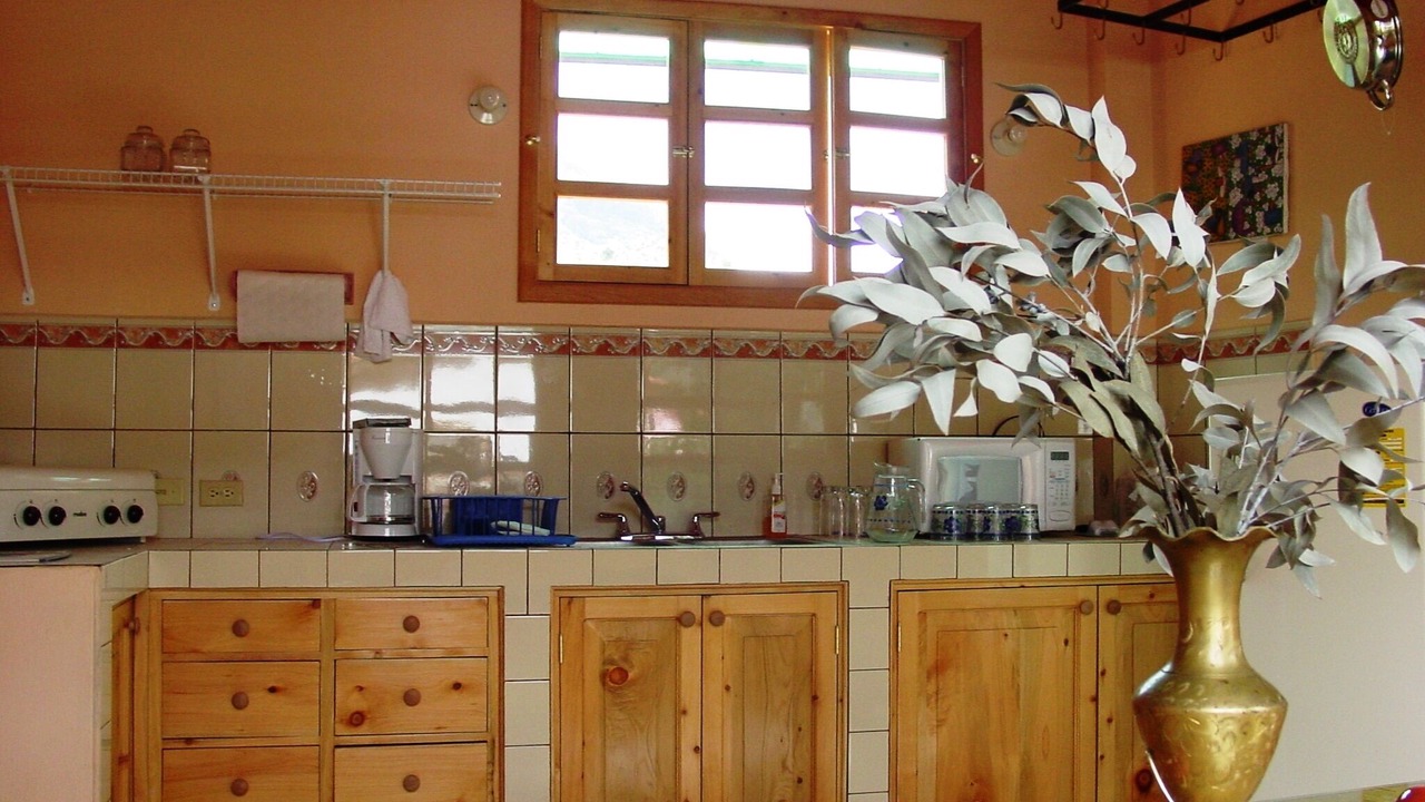 Photo of Kitchen in Panajachel