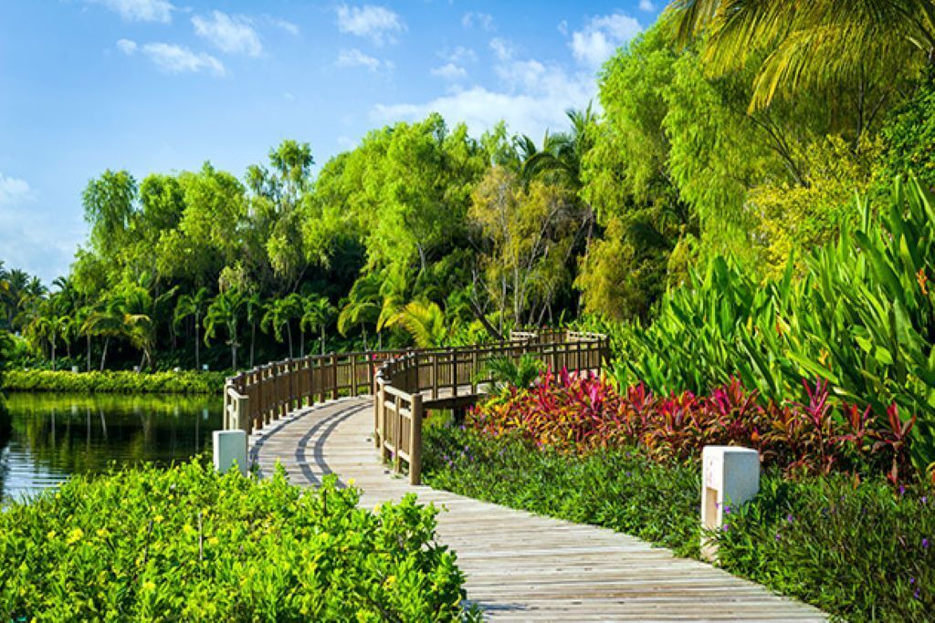 Photo of Outdoor in Nuevo Vallarta
