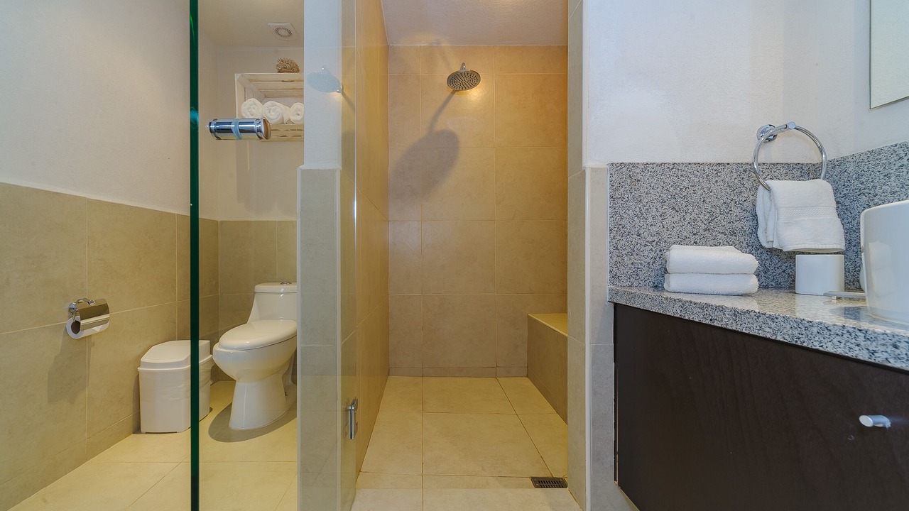 Photo of Bathroom in South Hotel Zone