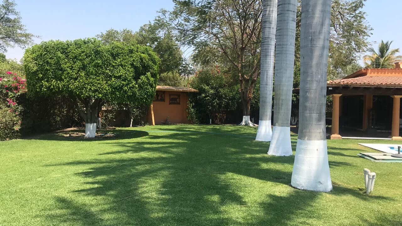 Photo of Outdoor in Tlaltizapan