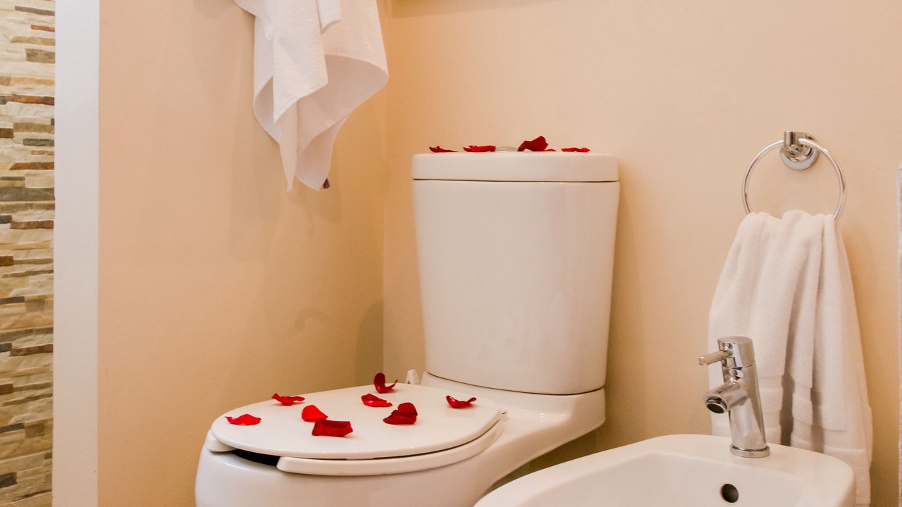 Photo of Bathroom in Ejidal