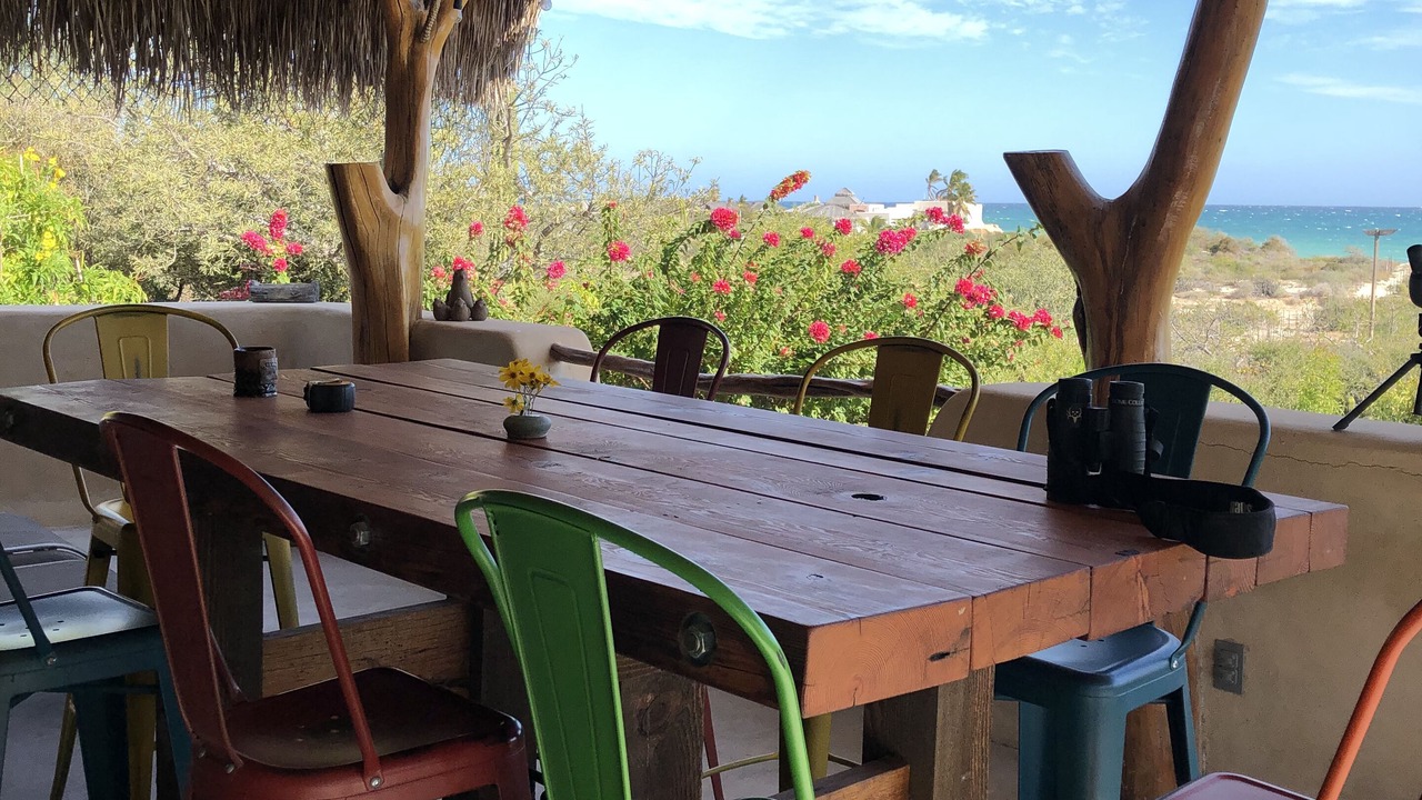 Photo of Outdoor in Cabo Pulmo