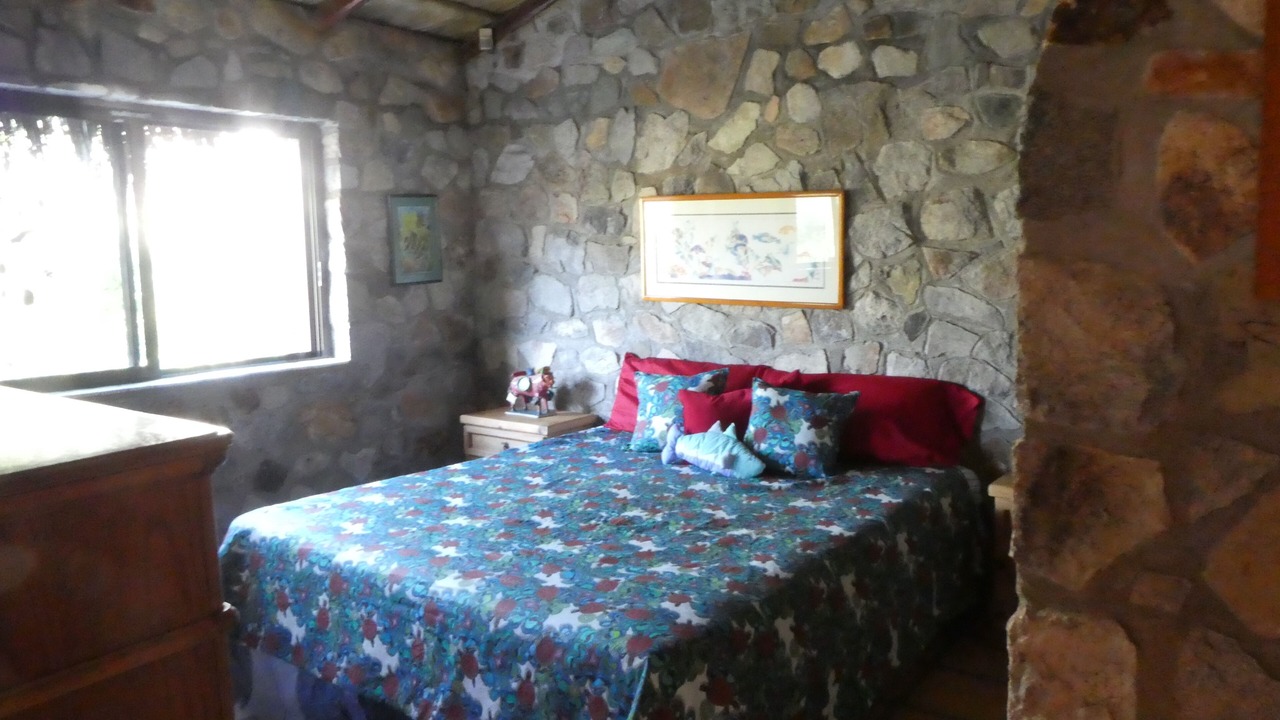 Photo of Others in Cabo Pulmo