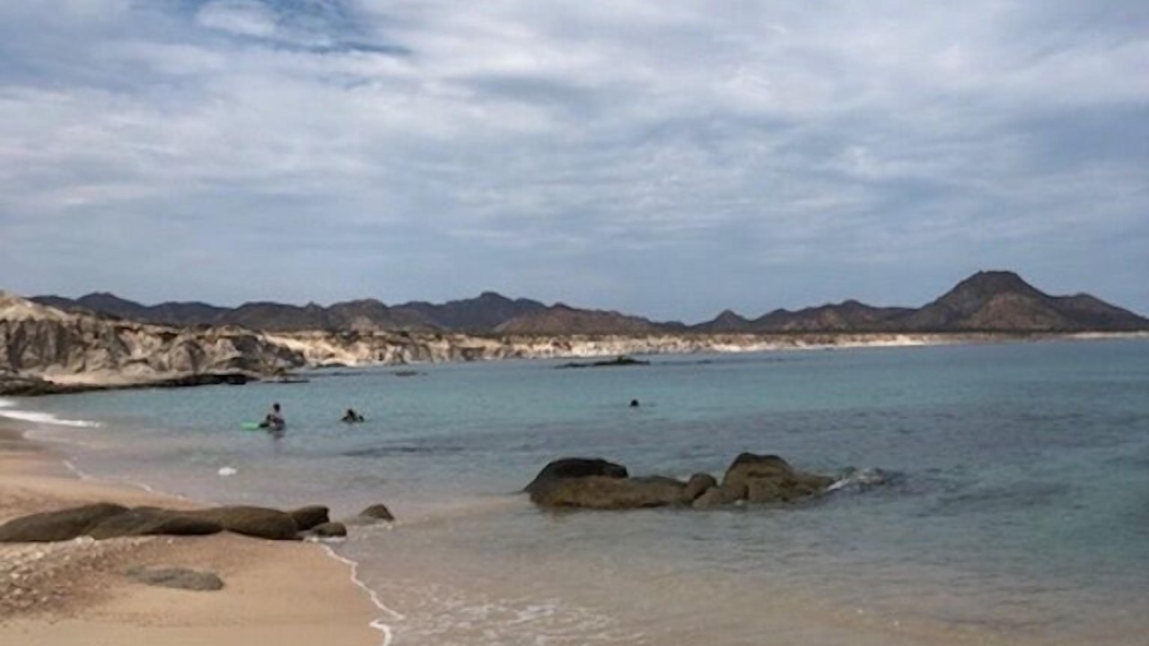 Photo of Others in Cabo Pulmo