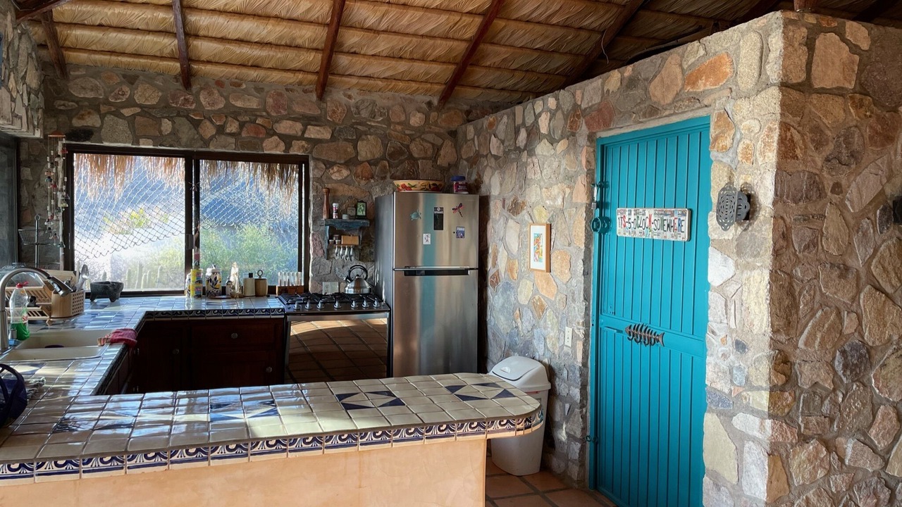 Photo of Others in Cabo Pulmo