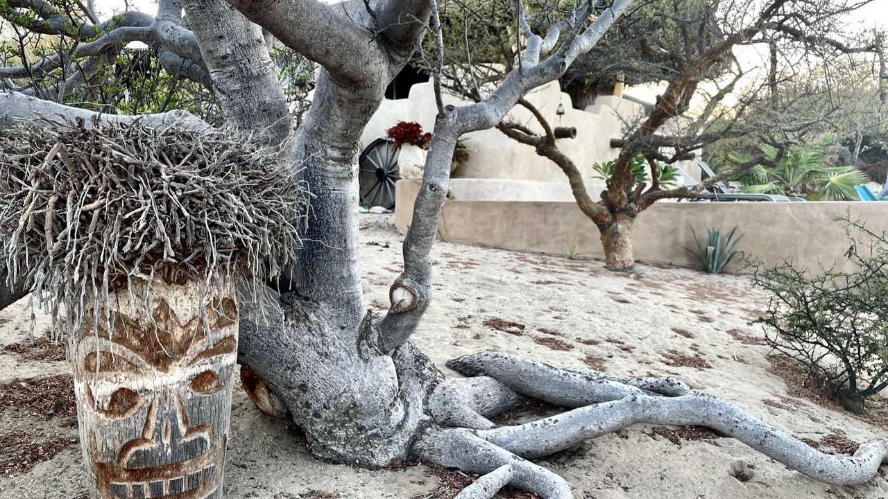 Photo of Others in Cabo Pulmo
