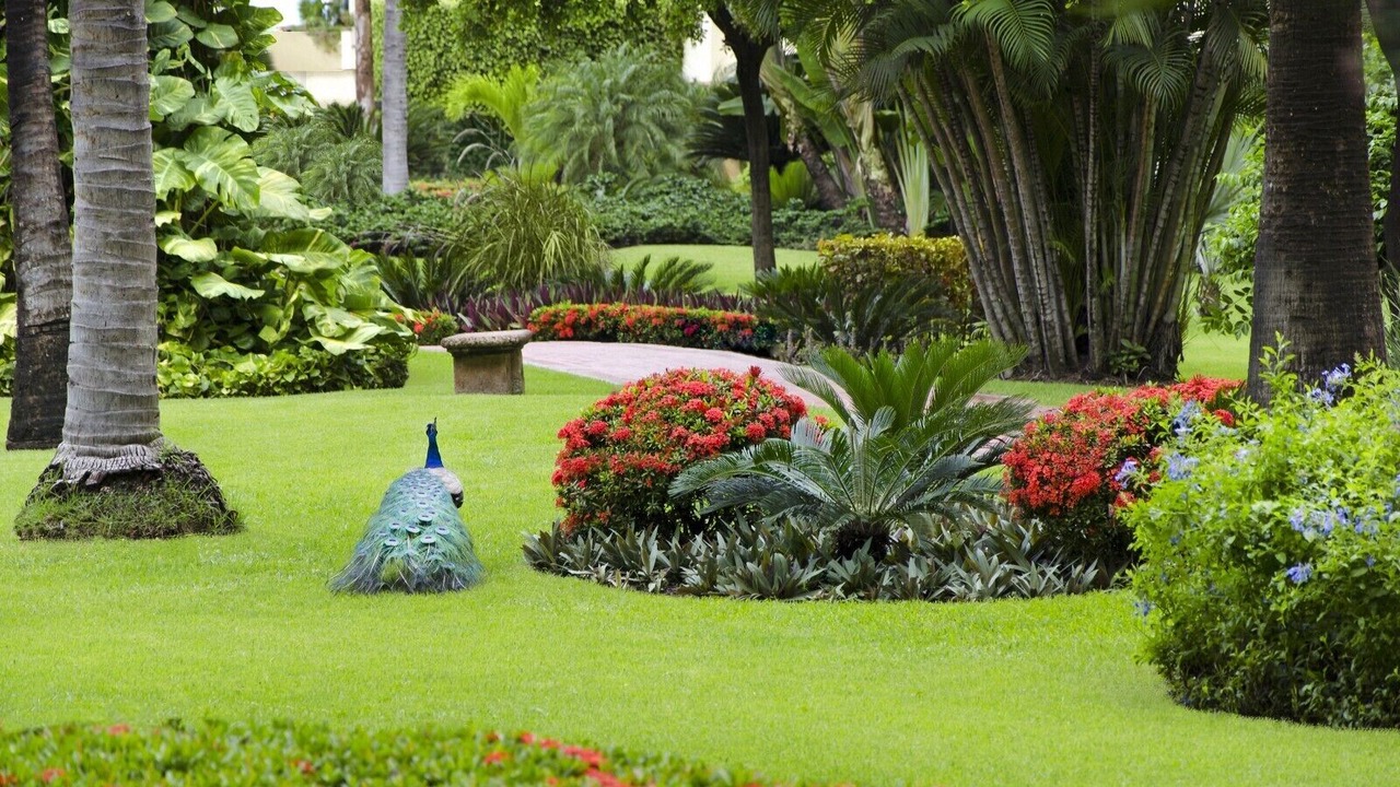 Photo of Outdoor in Marina Vallarta